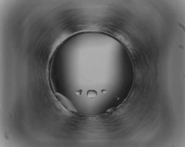 X0000091571480200708271146