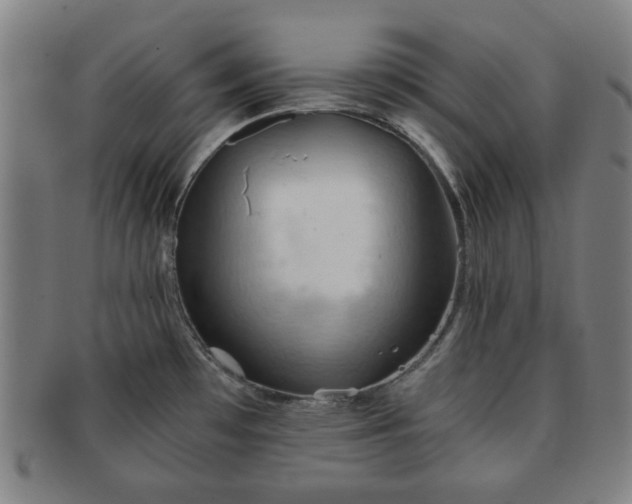 X0000091571481200708271146