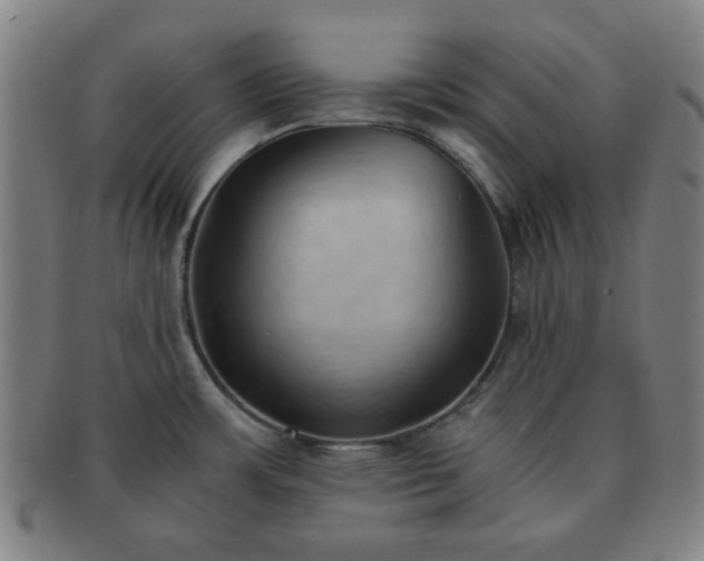 X0000091571483200708271146