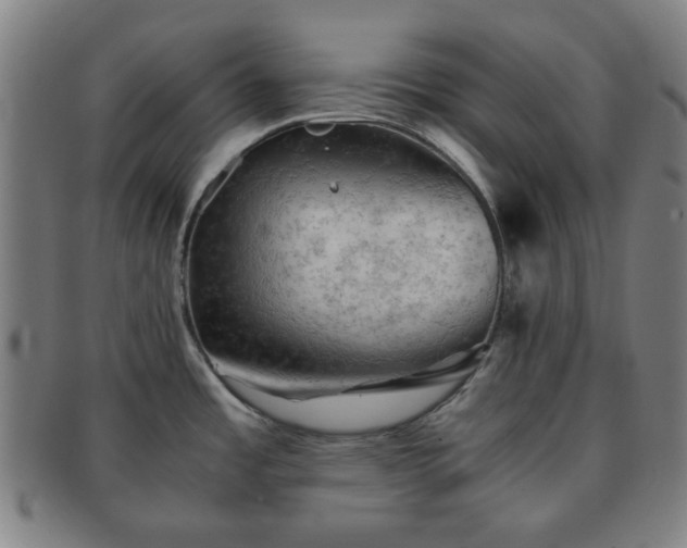 X0000091571485200708271146