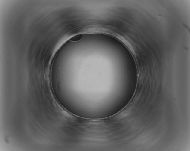 X0000091571486200708271146