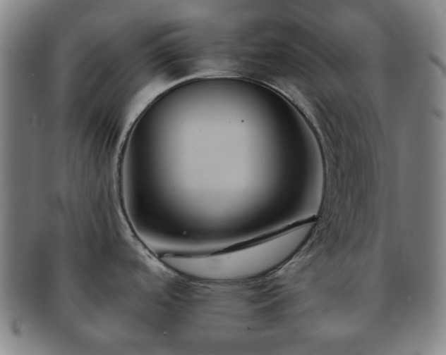 X0000091571488200708271146