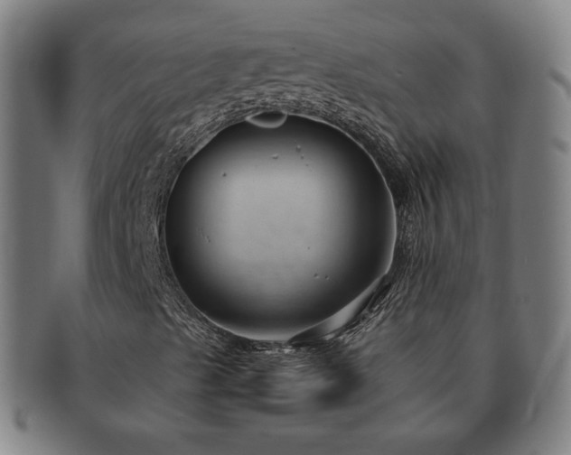 X0000091571489200708271146