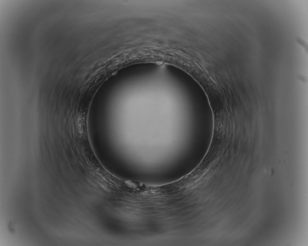 X0000091571490200708271146