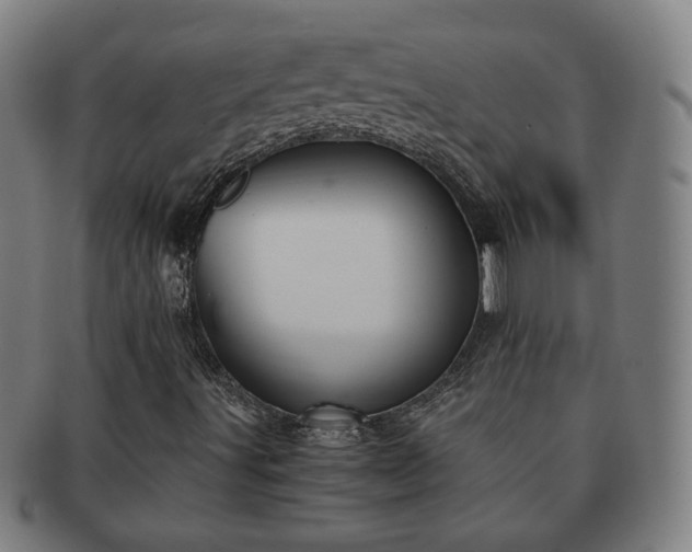 X0000091571491200708271146