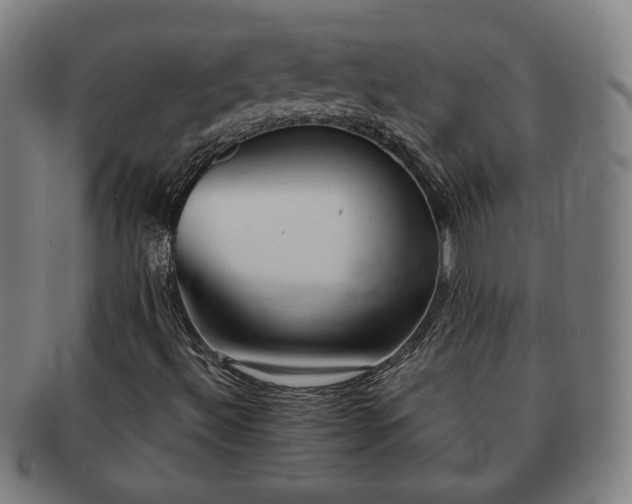 X0000091571492200708271146