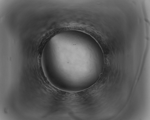 X0000091571493200708271146