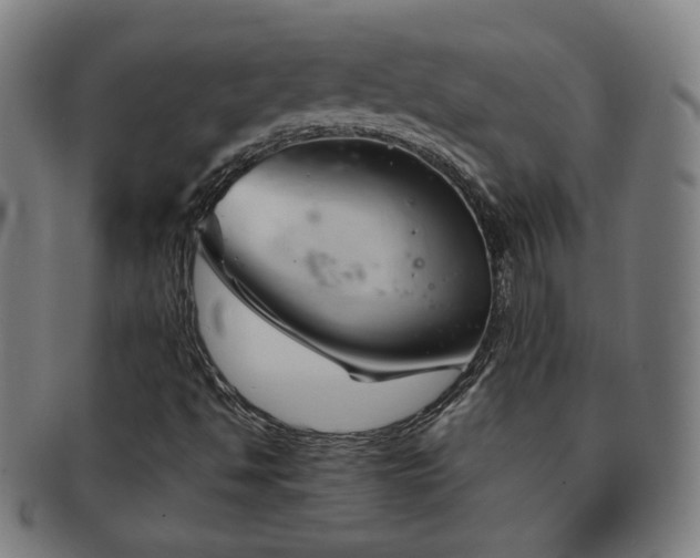 X0000091571494200708271146