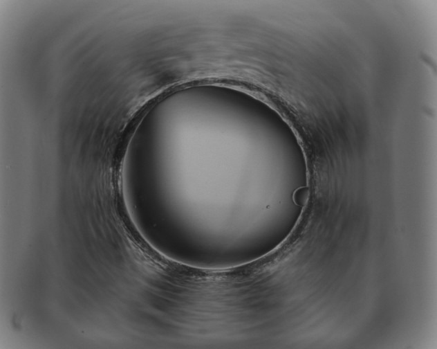 X0000091571497200708271146