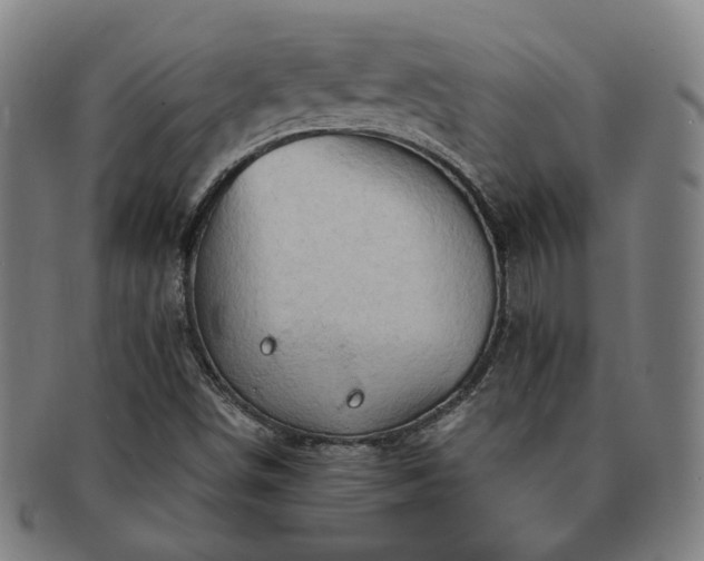 X0000091571498200708271146