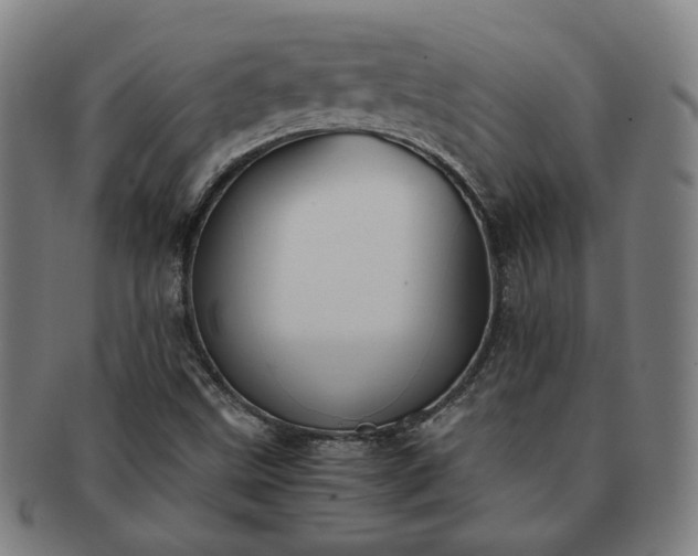 X0000091571499200708271146