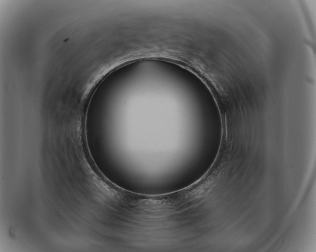 X0000091571500200708271146