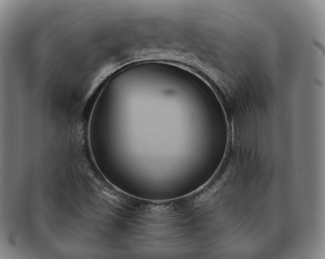 X0000091571501200708271146