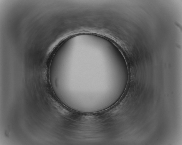 X0000091571502200708271146