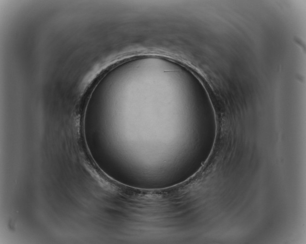 X0000091571503200708271146