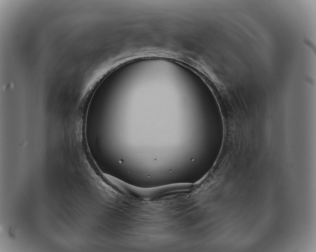 X0000091571504200708271146