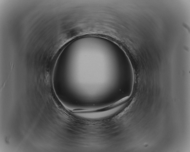X0000091571505200708271146