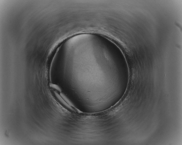 X0000091571506200708271146