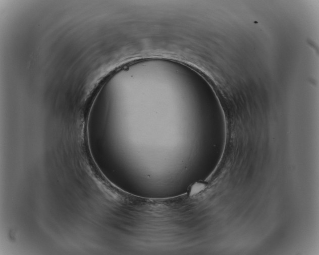 X0000091571507200708271146