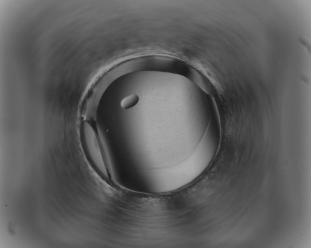 X0000091571508200708271146
