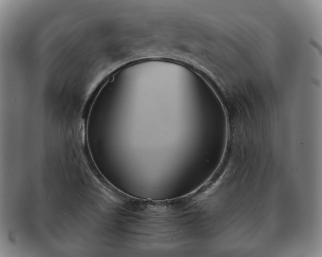 X0000091571509200708271146