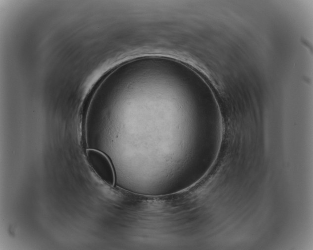 X0000091571511200708271146