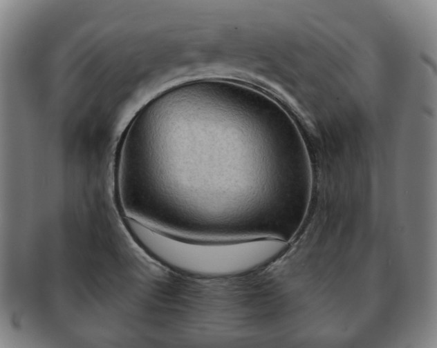 X0000091571512200708271146