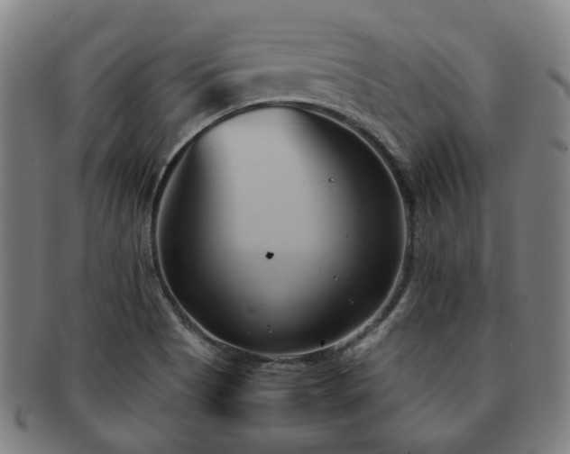 X0000091571513200708271146