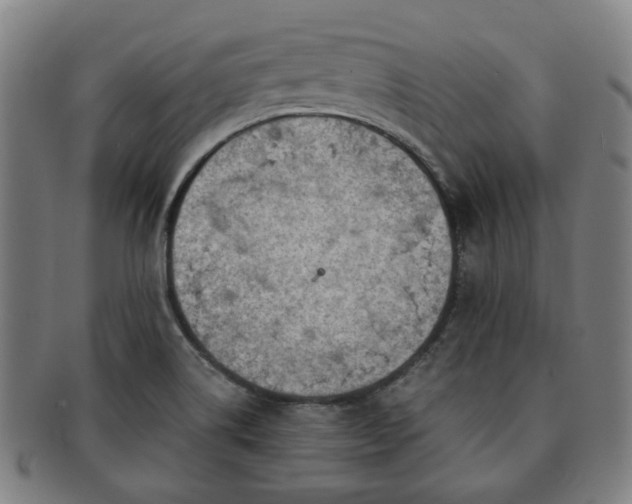 X0000091571514200708271146