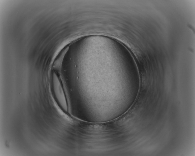 X0000091571515200708271146