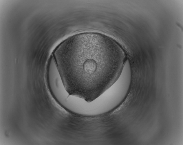 X0000091571518200708271146