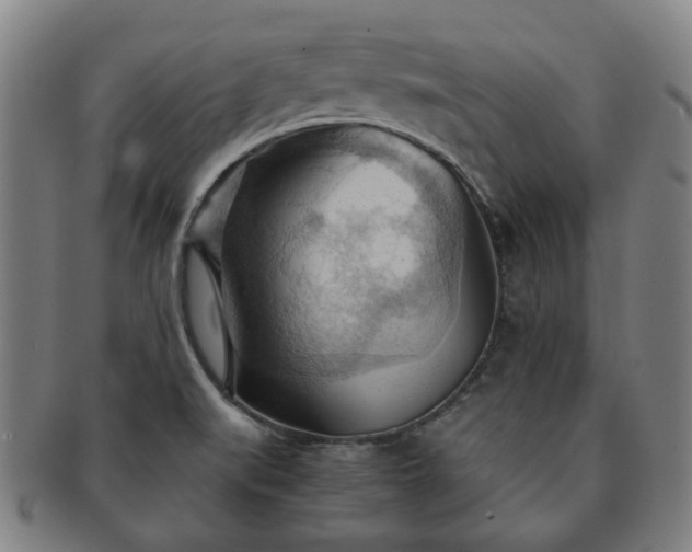 X0000091571519200708271146