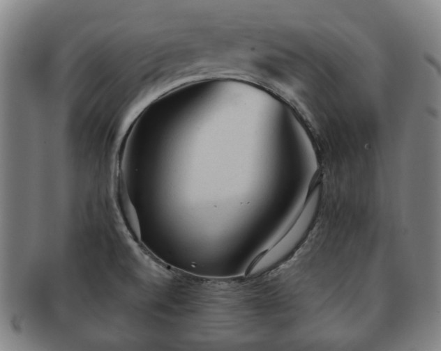 X0000091571520200708271146