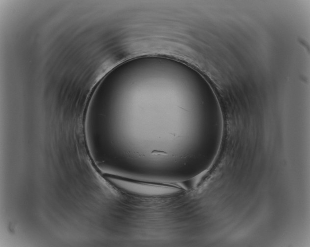 X0000091571521200708271146