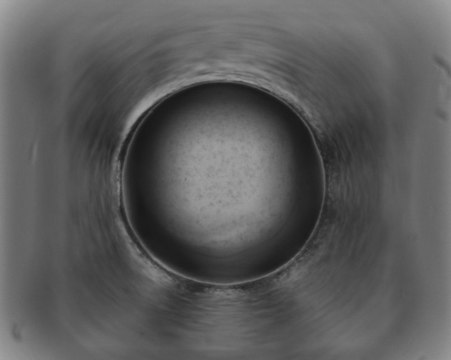 X0000091571522200708271146