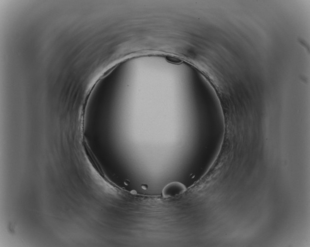 X0000091571524200708271146