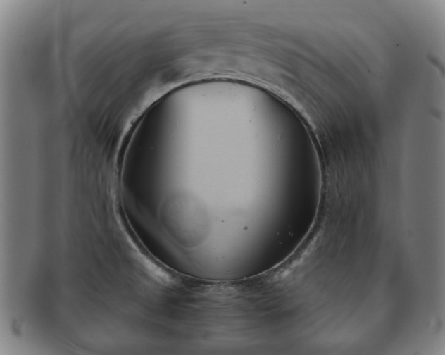 X0000091571525200708271146