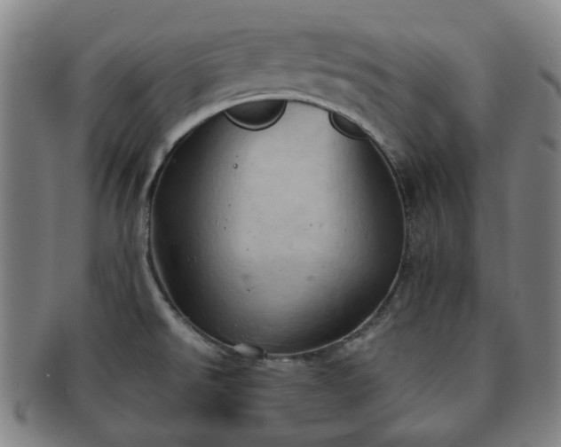 X0000091571526200708271146