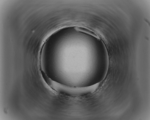 X0000091571528200708271146