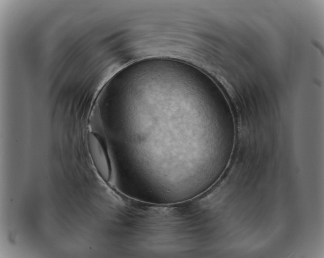 X0000091571529200708271146