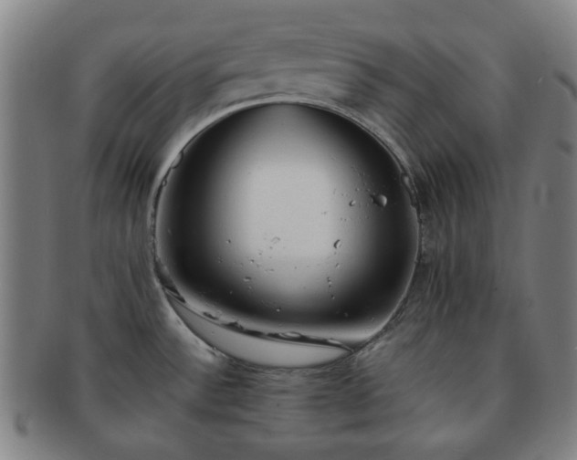 X0000091571532200708271146
