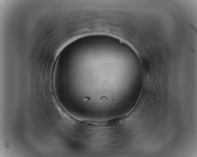 X0000091571534200708271146