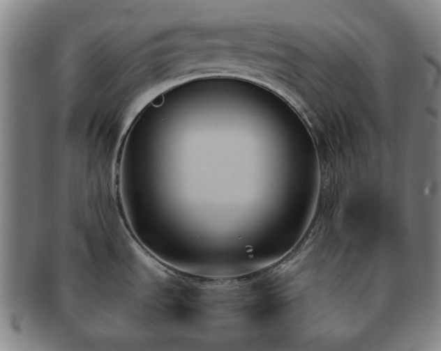 X0000091571535200708271146