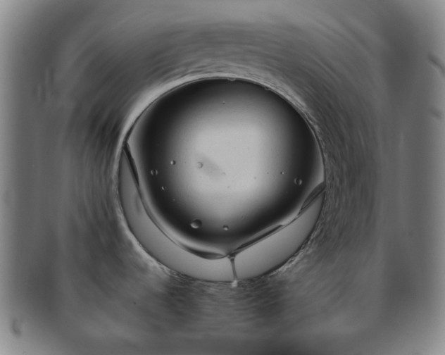 X0000091571536200708271146