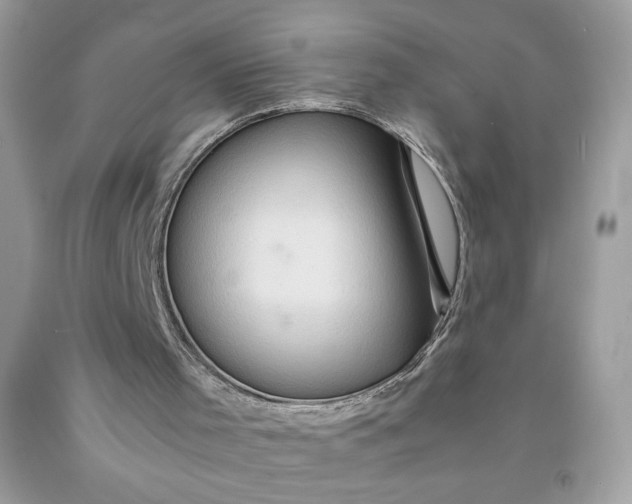 X0000091570001200709051049