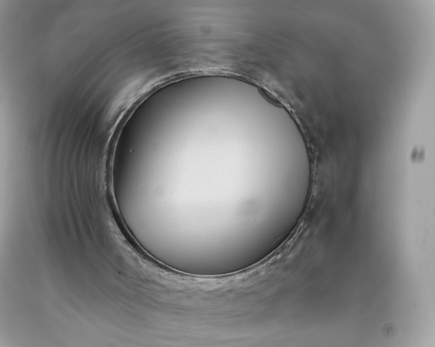 X0000091570002200709051049