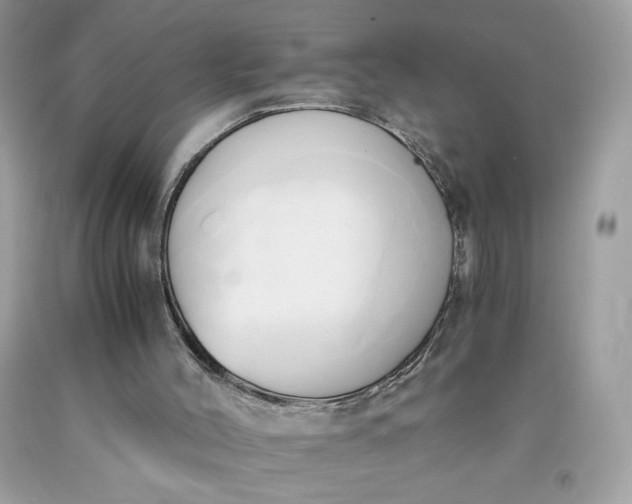 X0000091570004200709051049