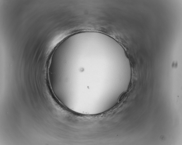 X0000091570005200709051049