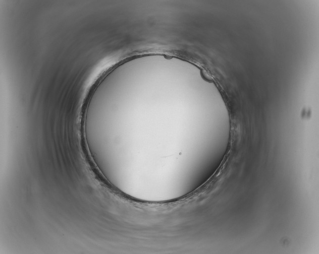 X0000091570006200709051049