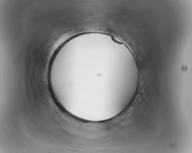 X0000091570008200709051049